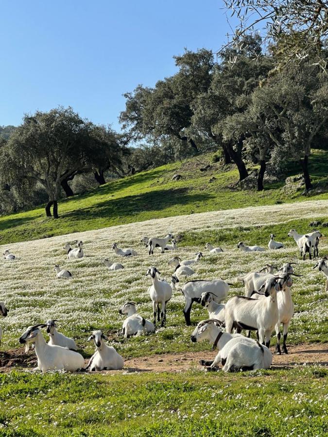 Monte Dos Pensamentos - Vakantieboerderij