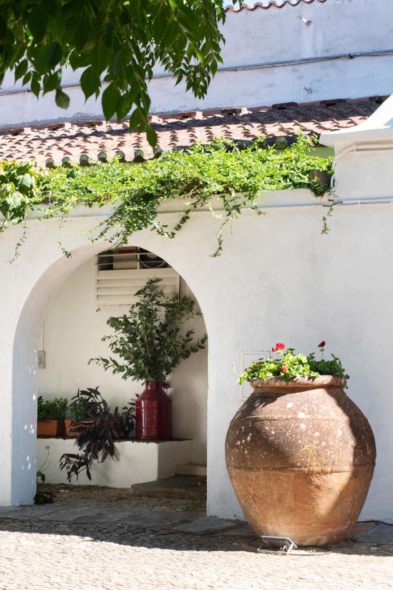 Vakantieboerderij Monte Dos Pensamentos - Estremoz
