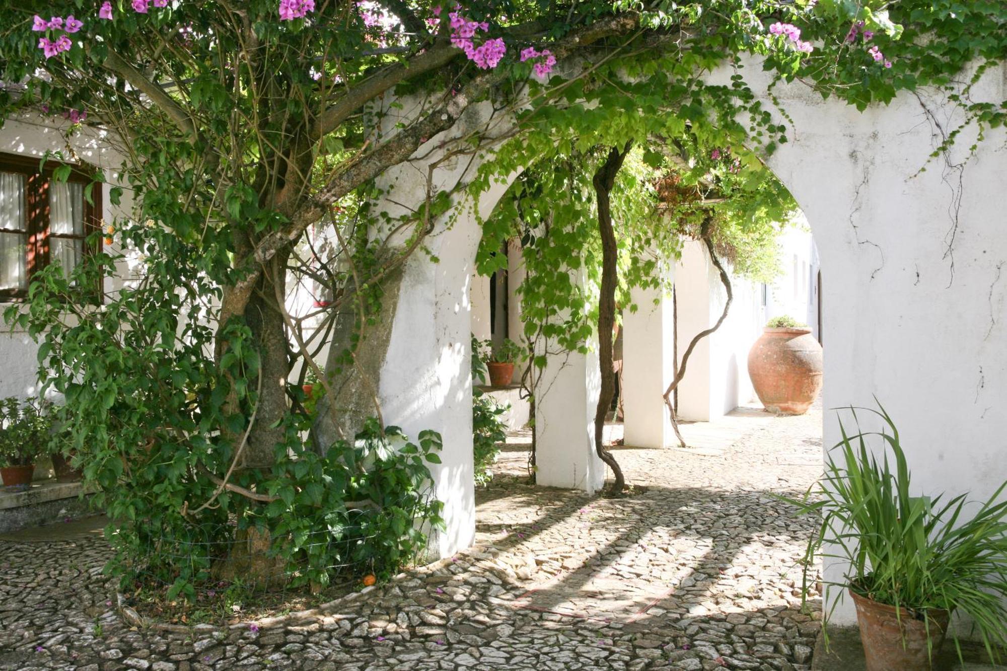 Vakantieboerderij Monte Dos Pensamentos -