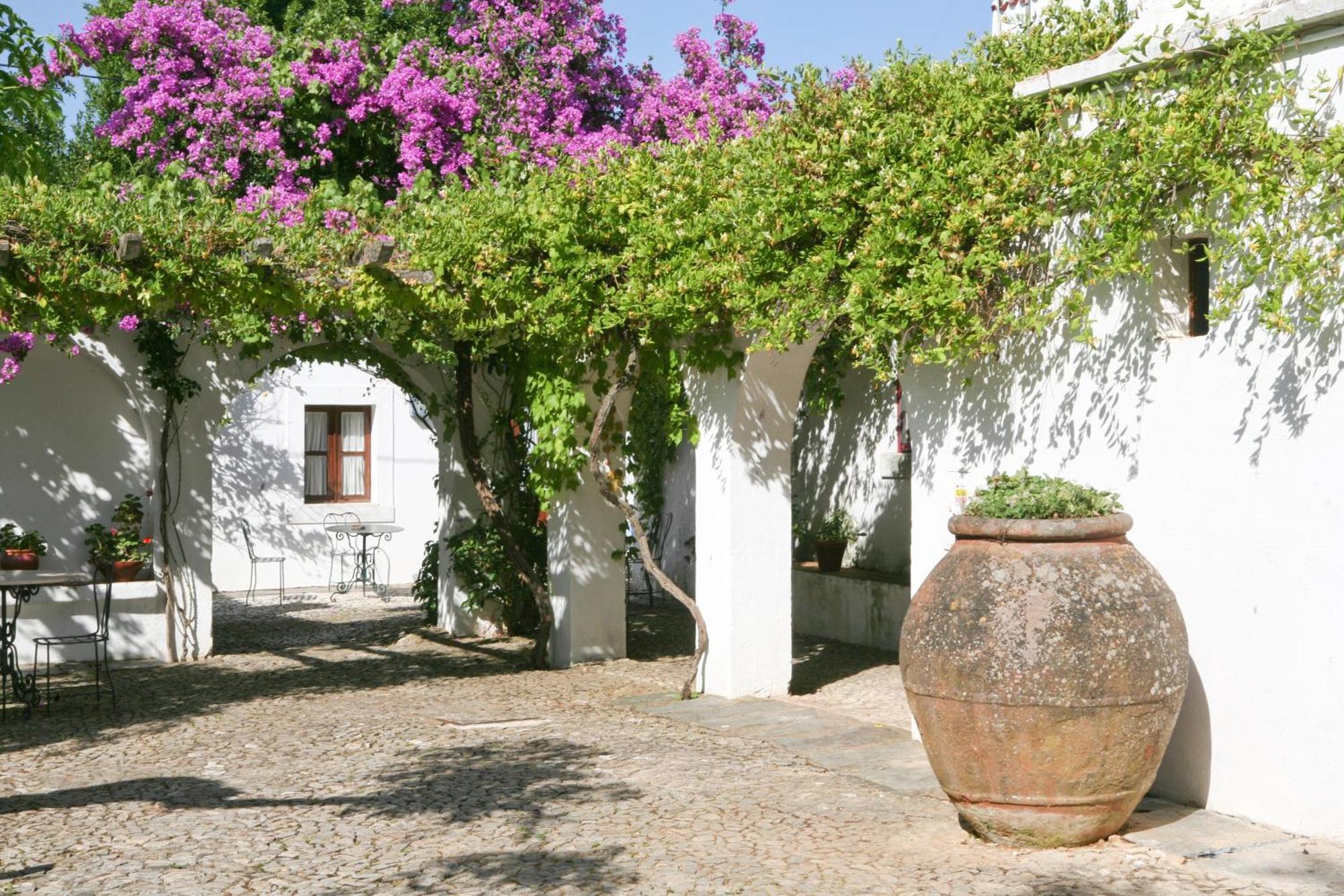 Vakantieboerderij Monte Dos Pensamentos -